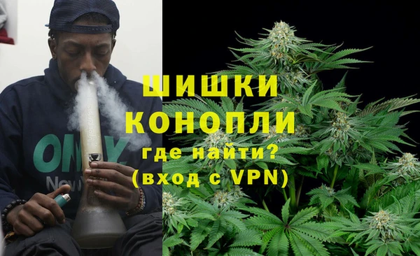 сатива Балахна