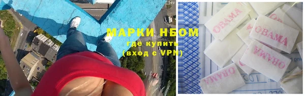 сатива Балахна