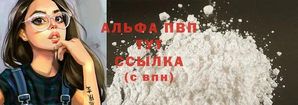 сатива Балахна