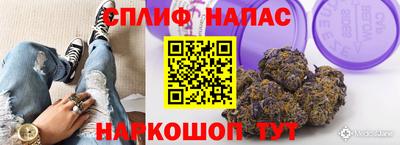 прущие грибы Брянск