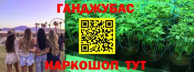 прущие грибы Брянск