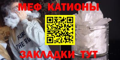 прущие грибы Брянск