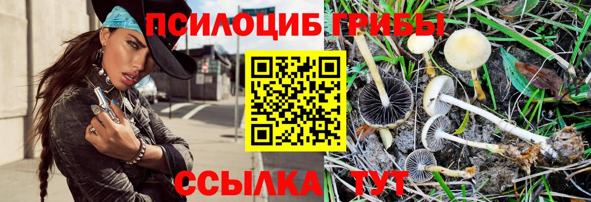 Псилоцибиновые грибы мицелий Радужный